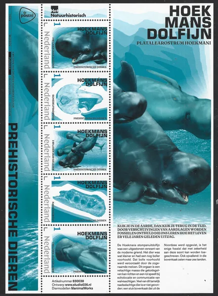 Netherlands 2023 Prehistory 8 Hookedmansdolphin sheetlet MNH