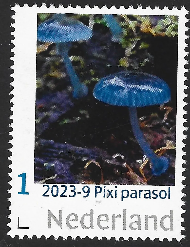 Pays-Bas 2023-8 Champignon parasol Mycena Interrupta neuf/mnh