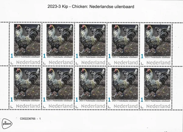 Nederland 2023-3 Uilen - owls Ñederlandse Uilenbaard vel-sheetet postfris/mnh