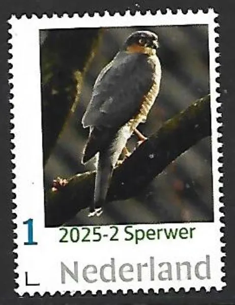 Netherlands 2025-2 Raptor: Sparrowhawk MNH