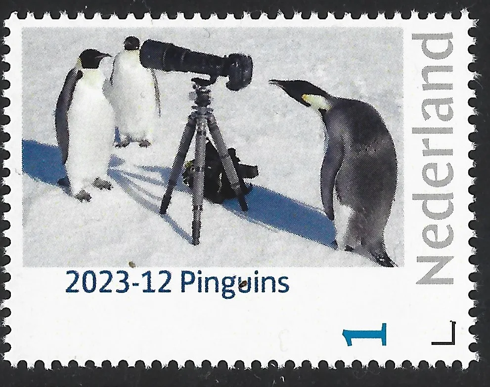 Netherlands 2023-12 Antarctica Penguins MNH