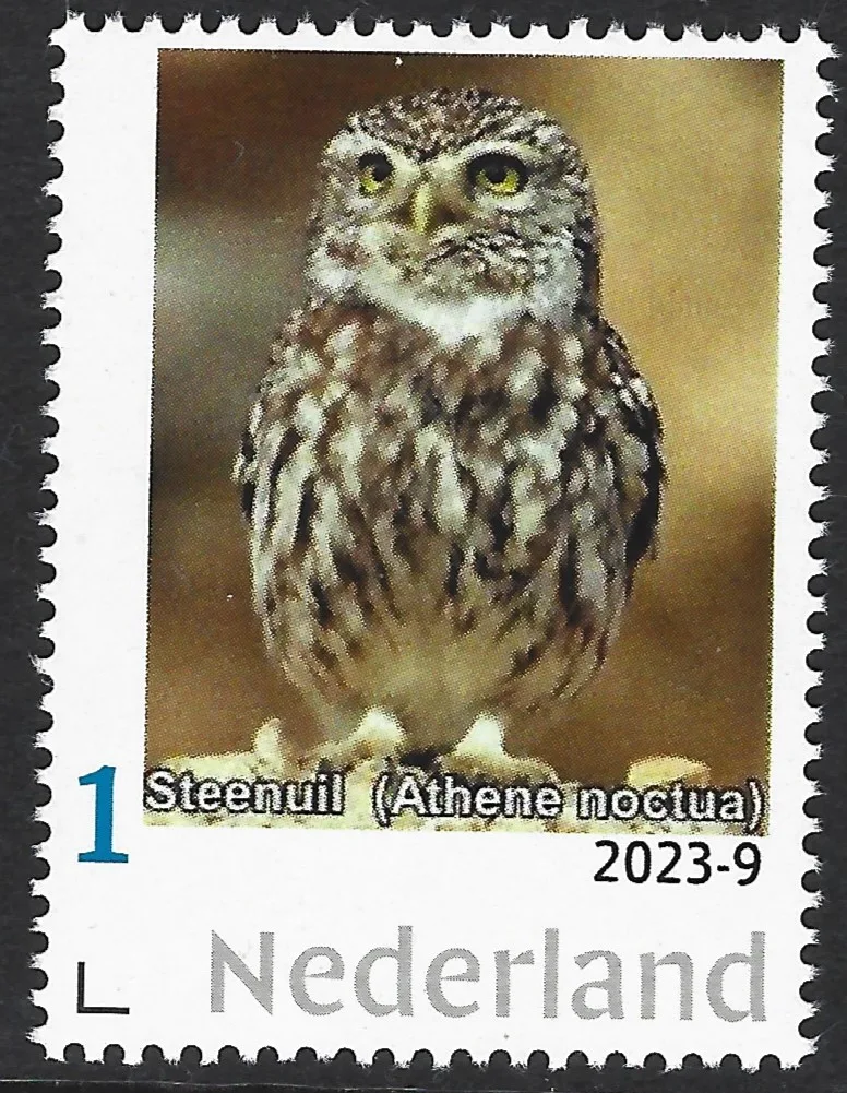 Niederlande 2023-9 Eulen: Steinkauz postfrisch/mnh