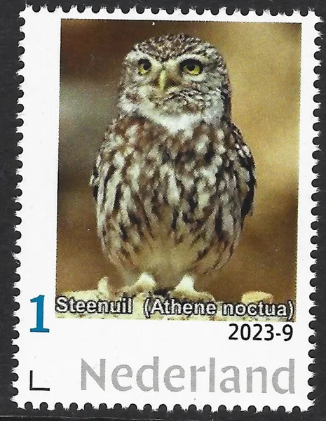 Netherlands 2023-9 Owls: Little owl unmounted MNH