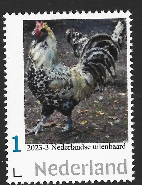 Netherlands 2023-3 Owls Dutch Owl Beard MNH