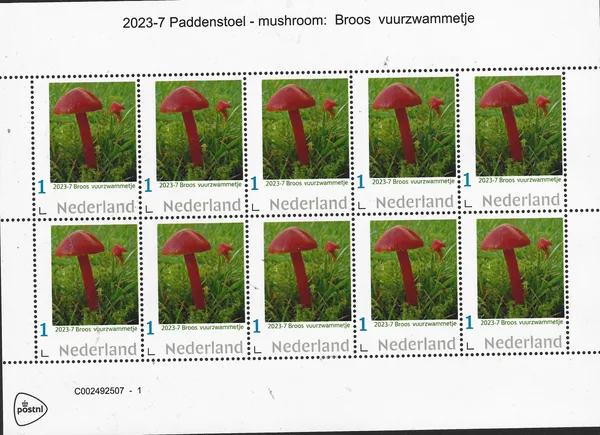 Nederland 2023-7 Paddenstoel - mushroom: Broos vuurzwammetje vel-sheetlet postfris/mnh
