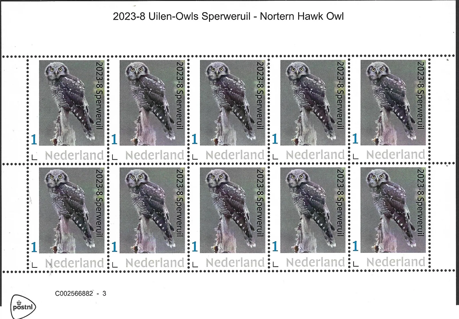 Niederlande 2023-8 Eulen Sperweruil Raubwürger-Eule Bogen postfrisch/mnh