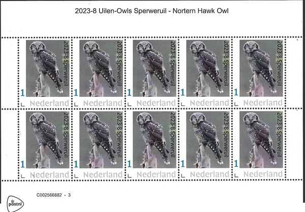 Netherlands 2023-8 Owls Northern Hawk Owl sheetlet MNH