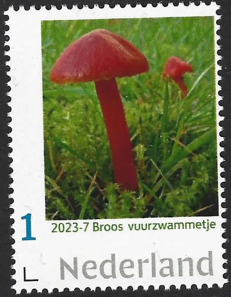 Nederland 2023-7 Paddenstoel - mushroom: Broos vuurzwammetje postfris/mnh