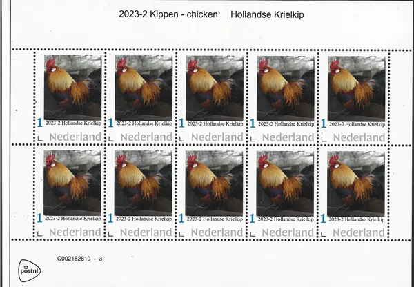 Netherlands 2023-2 Chicken - Dutch Bantam Hollandaise sheetlet MNH