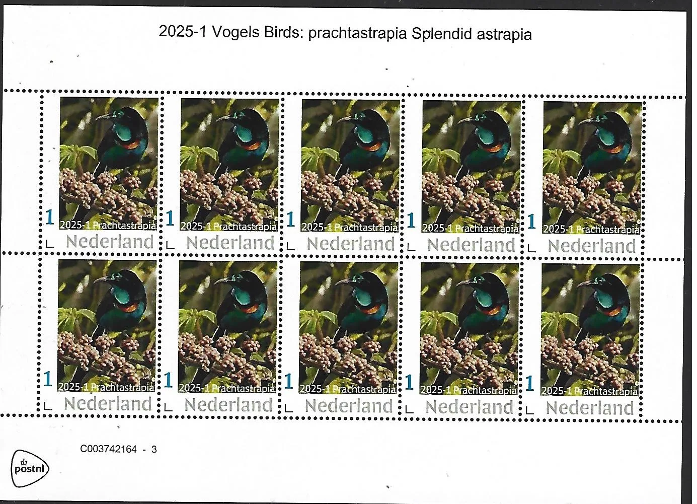 Nederland 2025-1 Vogel Bird: parchtastrapia splendid Astrapia sheetlet postfris/mnh