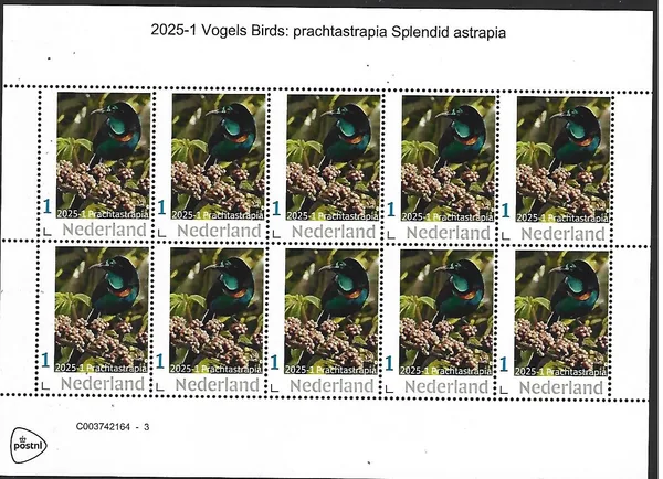 Netherlands 2025-1 Bird: parchtastrapia splendid Astrapia sheetlet MNH