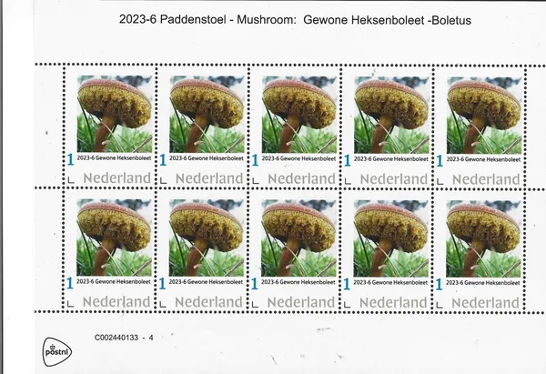 Netherlands 2023-6 Mushrooms Boletus Campestris sheetlet MNH