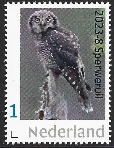 Pays-Bas 2023-8 Hiboux owls Chouette épervière Northern Hawk Owl neuf/mnh