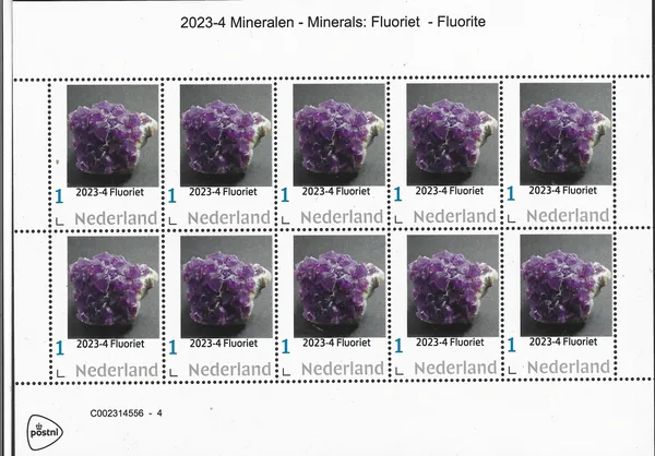 Netherlands 2023-4 Minerals: Fluorite sheetlet, MNH
