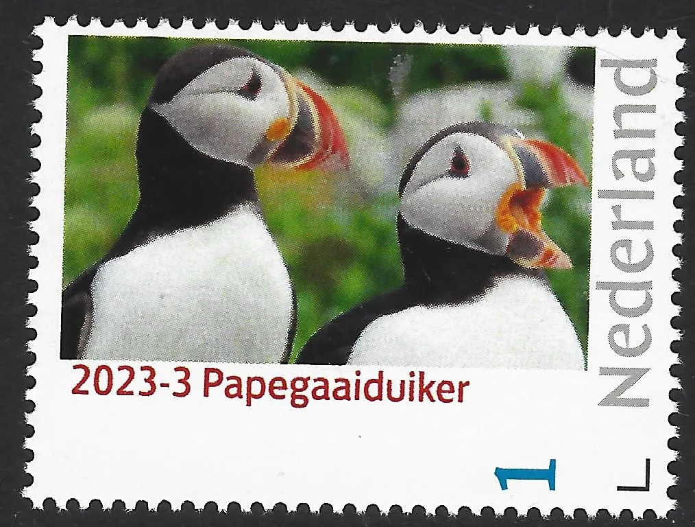 Pays-Bas 2023-3 Macareux moine - Puffin oiseaux neuf/nnh