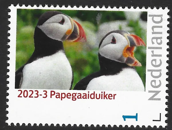 Netherlands 2023-3 Puffin birds MNH