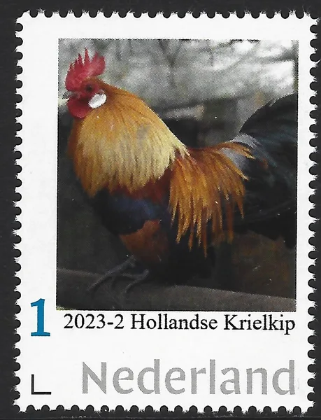 Netherlands 2023-2 Hollands Bantam Chicken MNH