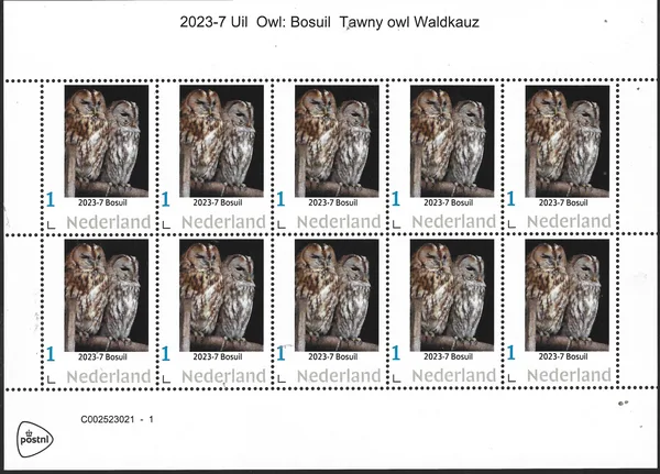 Netherlands 2023-7 Owls Tawny owl sheetlet MNH