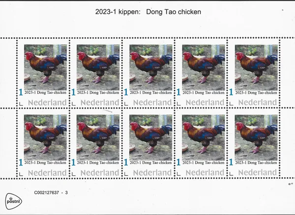 Nederland 2023-1 Kippen-chicken Dong Tao chicken vel-sheetlet postfris/mnh