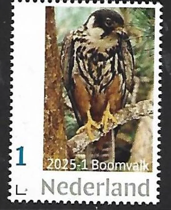 Netherlands 2025-1 Raptor Bird: Eurasian Hobby MNH