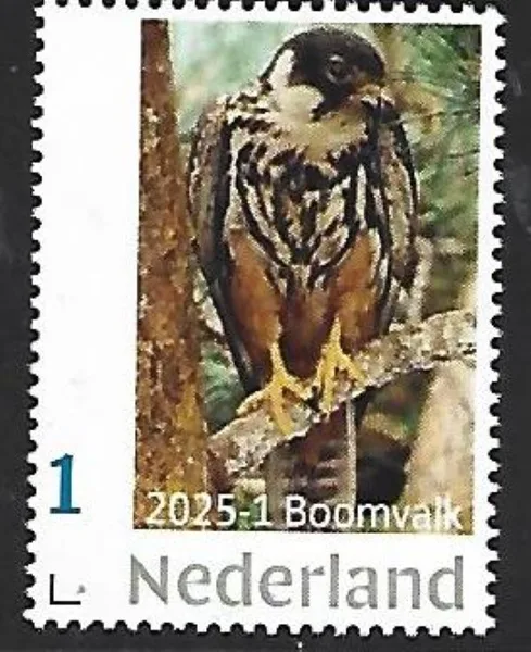Nederland 2025-1 Roofvogel Raptor Bird: Boomvalk Horberau postfris/mnh