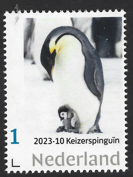 Nederland 2023-10 Antarctica Antarctic: Keizerspinguin Emperor penguin postfris/mnh