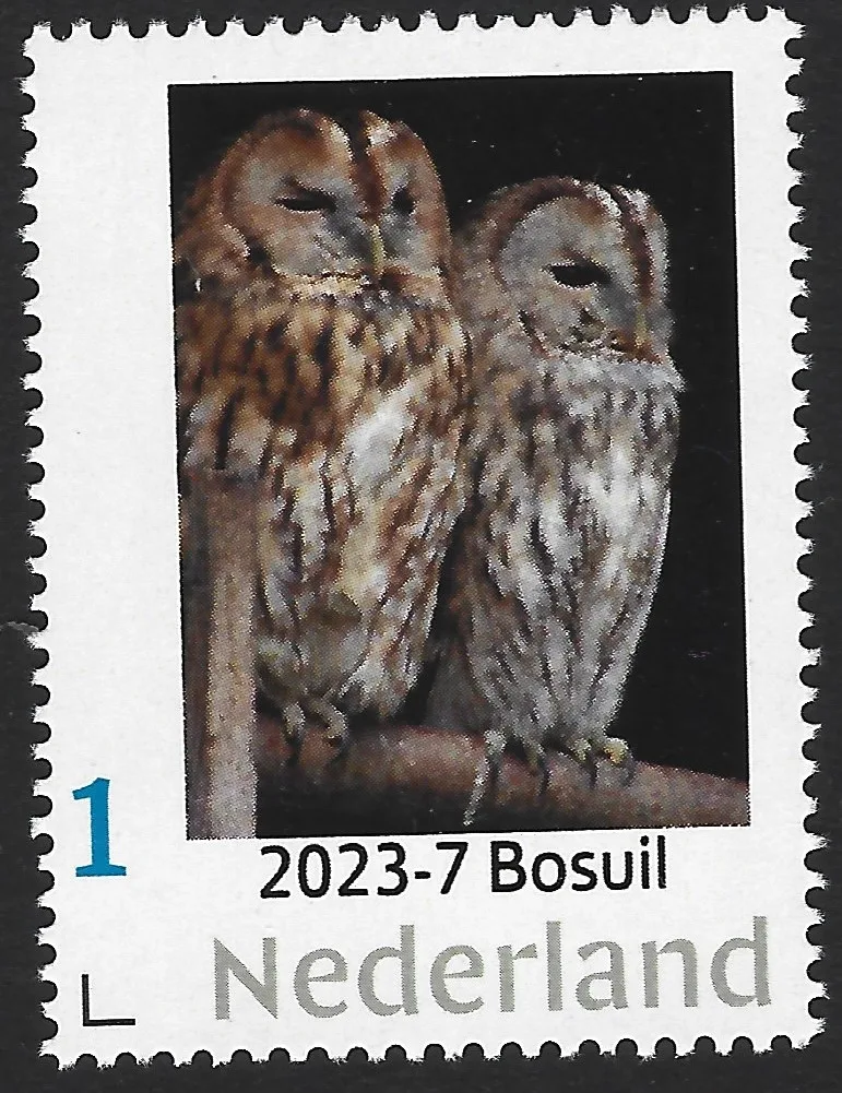 Pays-Bas 2023-7 Hiboux - Chouette hulotte postfris/mnh