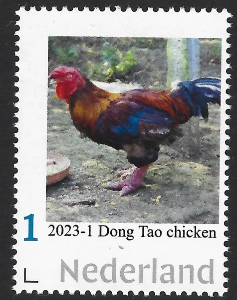 Nederland 2023-1 Kippen-chicken Dong Tao chicken postfris/mnh