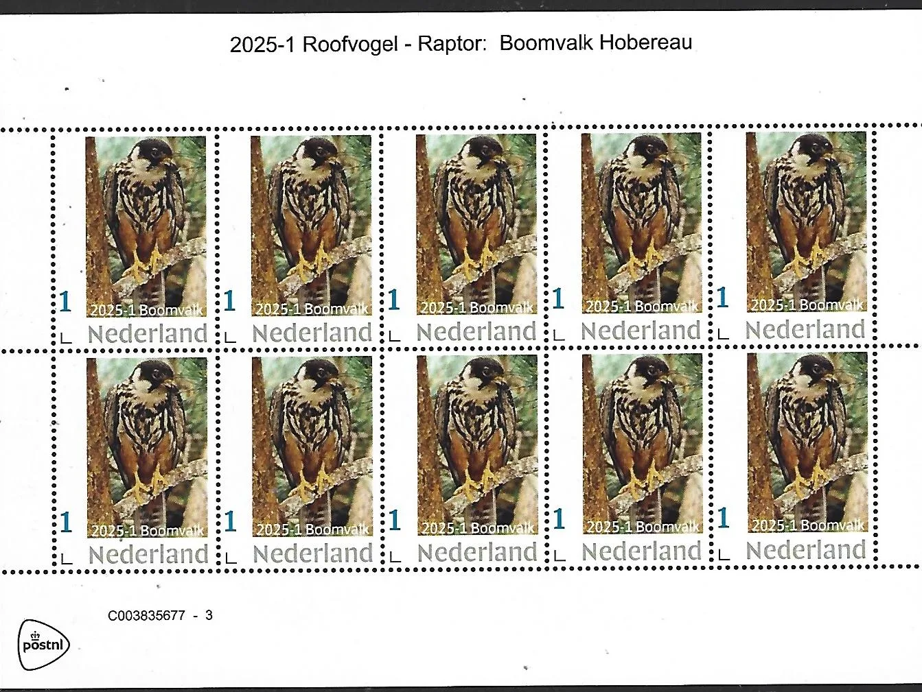 Netherlands 2025-1 Roofvogel Raptor Bird: Boomvalk Eurasian Hobby sheet MNH