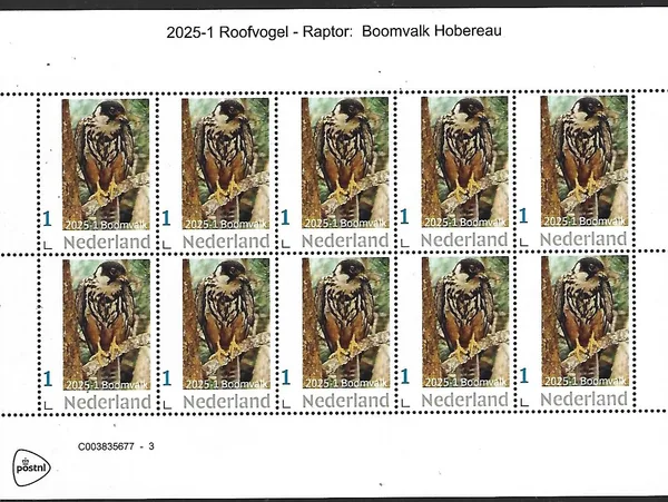 Nederland 2025-1 Roofvogel Raptor Bird: Boomvalk Horberau sheet postfris/mnh