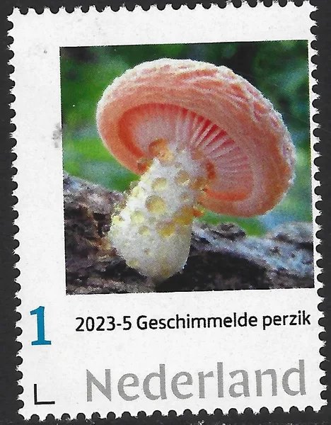 Nederland 2023-5 Paddenstoelen Geschimmelde perzik postfris/mnh
