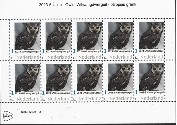 2023-6 Nederland Uilen owls:Zuidelijke Witwangdwergowl ptilopsis granti vel-sheetlet postfris/mnh