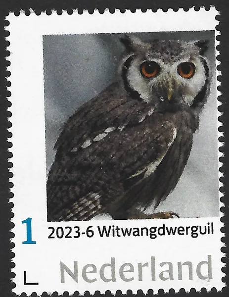 2023-6 Nederland Uilen owls:Zuidelijke Witwangdwergowl ptilopsis granti postfris/mnh