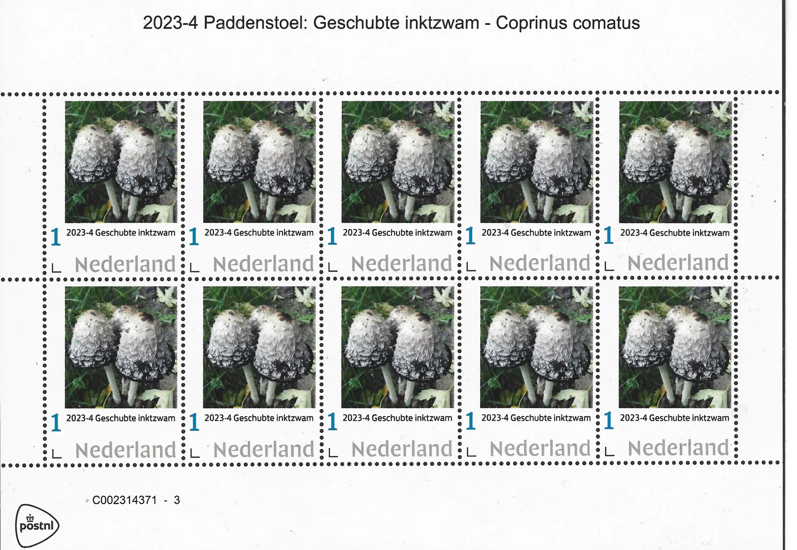 Niederlande 2023-4 Pilz - Geschuppter Tintenfinger - Coprinus Comatus postfrisch/mnh