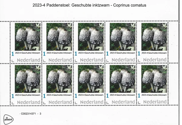 Nederland 2023-4 Paddenstoel -Mushroom: Geschubte inktzwam - Coprinus Comatus vel-sheet postfris/mnh