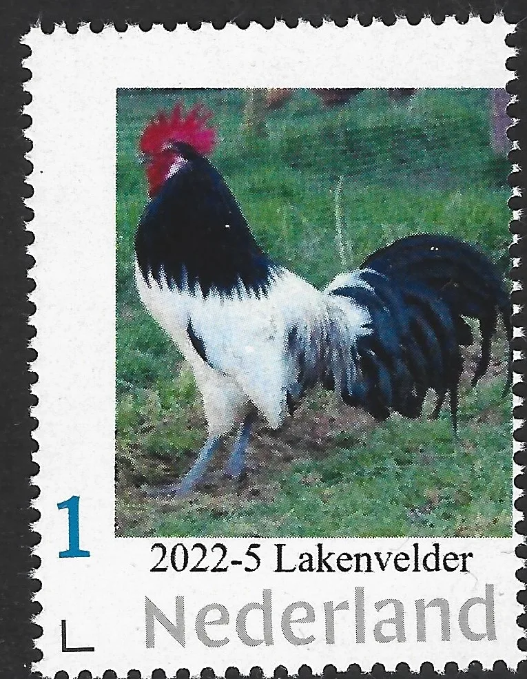 Niederlande 2022-5 Huhn - Lakenvelder postfrisch/mnh