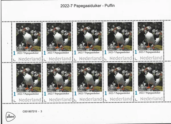 Nederland 2022-7 Vogels - Papegaaiduiker - Puffin vel-sheetlet postfris-mnh