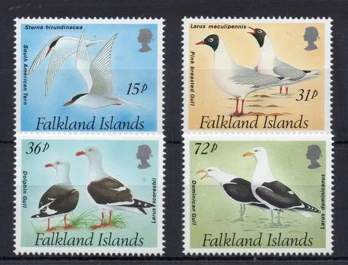 575-578 Falkland 1993 Gulls and Terns, unmounted MNH