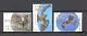 Netherlands 1649-1651 Nature and Environment, Birds of Prey 1995 MNH