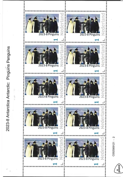 Nederland 2023-8 Antarctica Antarctic Pinguins Penguins vel-sheetlet postfris/mnh