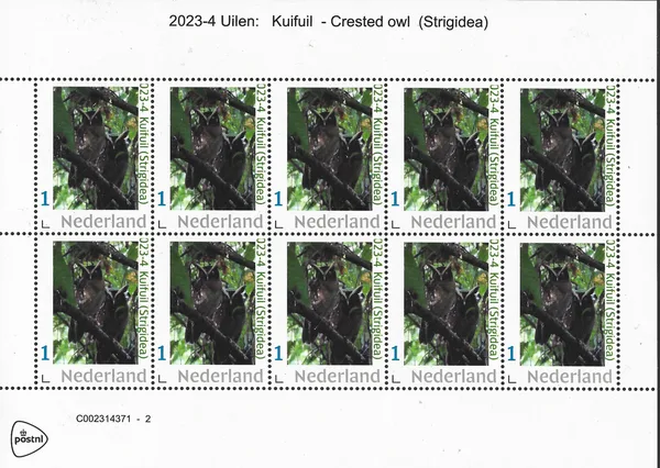 Nederland 2023-4 Uilen owls Kuifuil - Crested owl vel-sheetlet postfris/mnh