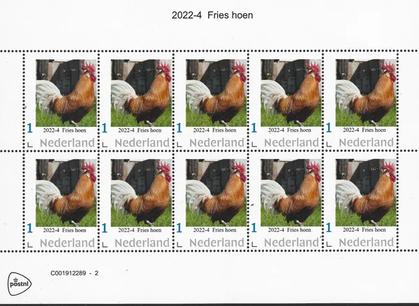 2022-4 Netherlands Chickens: Fries hen sheet MNH