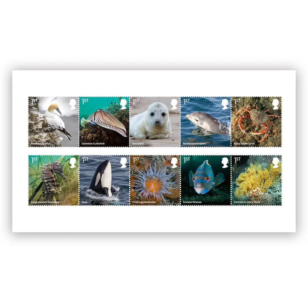 Großbritannien 2021 Wilde Küsten Fische Wale postfrisch/mnh