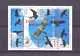 Niederlande 1652 Natur und Umwelt, Greifvögel Block/MS 1995 postfrisch/mnh