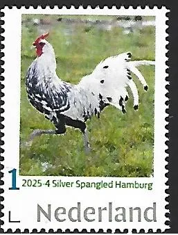 Netherlands 2025-4 Chicken: Silver spangled Hamburger MNH