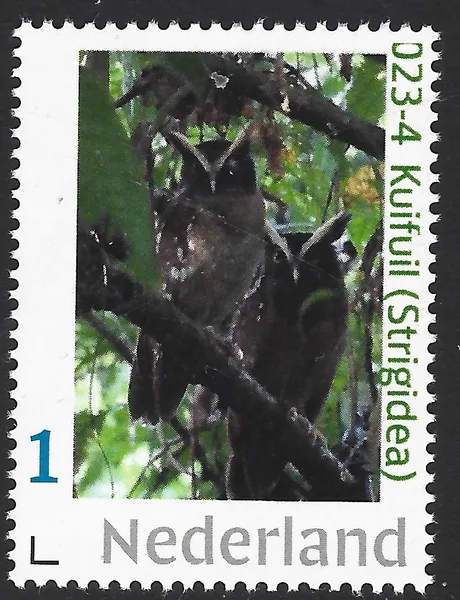 Nederland 2023-4 Uilen owls Kuifuil - Crested owl postfris/mnh