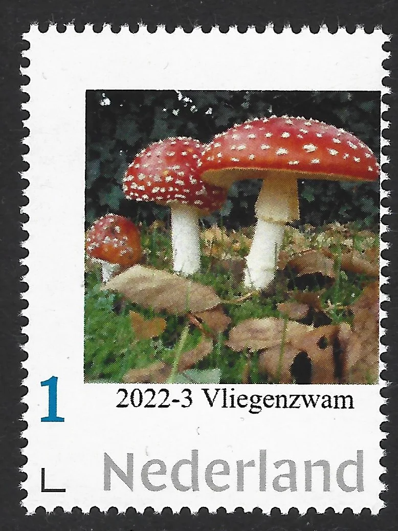 Niederlande 2022-3 Pilz - Fliegenpilz postfrisch/mnh