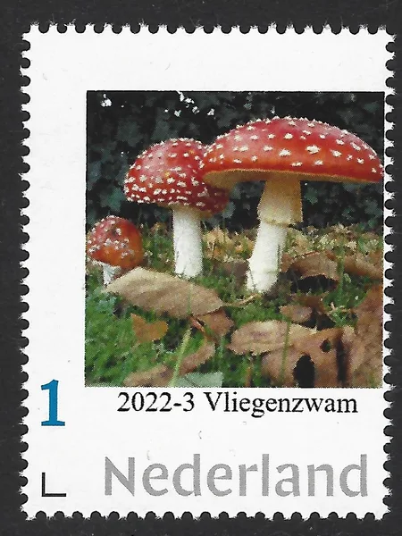 Nederland 2022-3 Paddenstoel - Mushroom: Vliegenzwam Fly agarliic postfriis/mnh