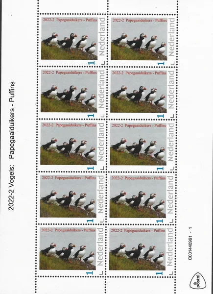 Netherlands 2022-2 Birds Puffin sheet-sheetlet MNH