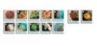 2009 Postage Corals - definetives